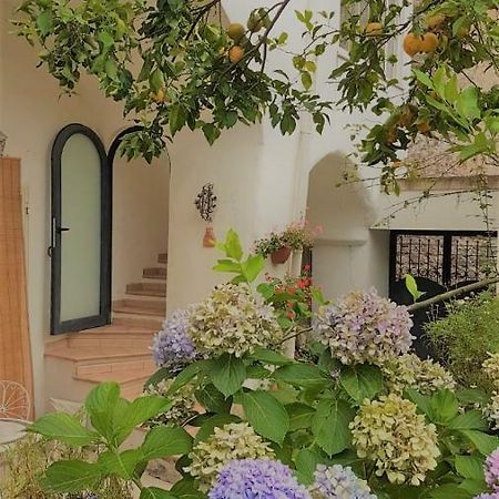 Sorrento Studios Lemons Hill Экстерьер фото