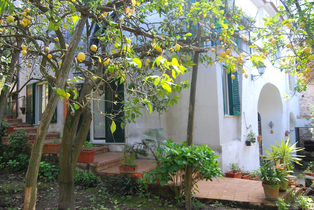 Sorrento Studios Lemons Hill Номер фото