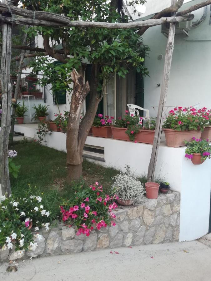 Sorrento Studios Lemons Hill Экстерьер фото