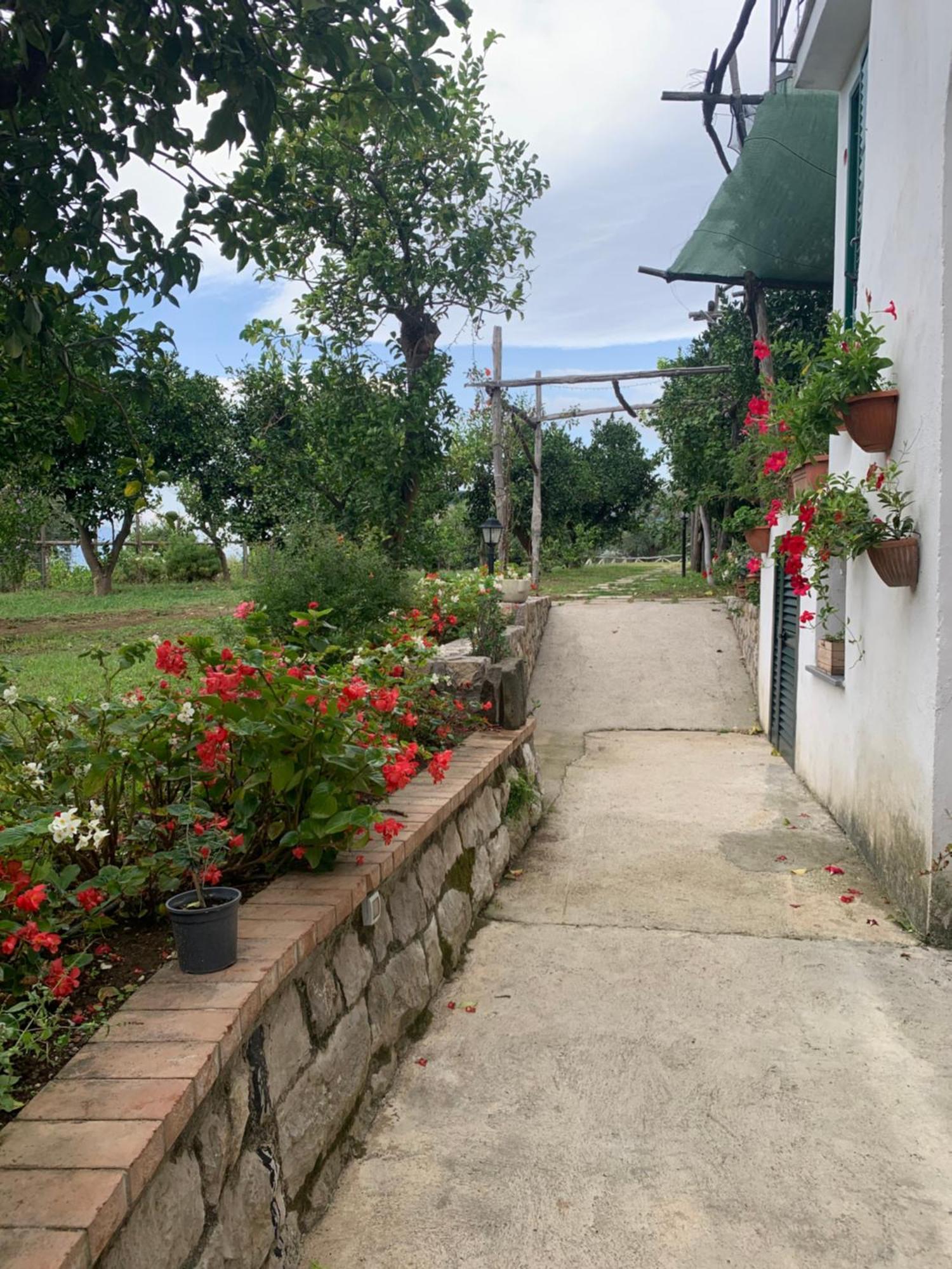 Sorrento Studios Lemons Hill Экстерьер фото
