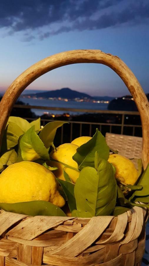 Sorrento Studios Lemons Hill Экстерьер фото