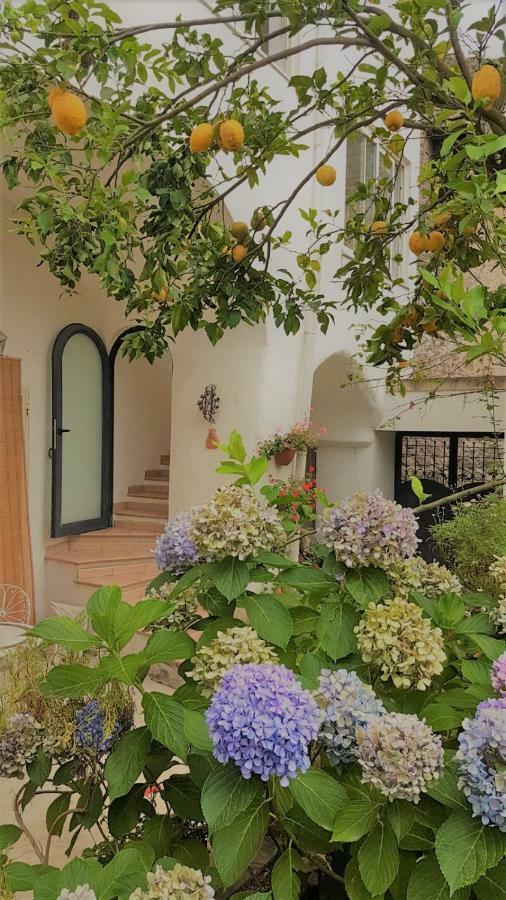 Sorrento Studios Lemons Hill Экстерьер фото