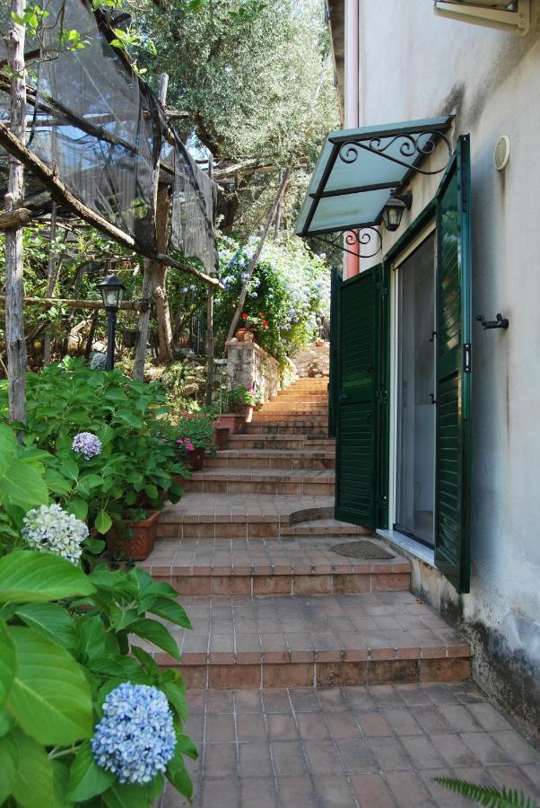 Sorrento Studios Lemons Hill Экстерьер фото
