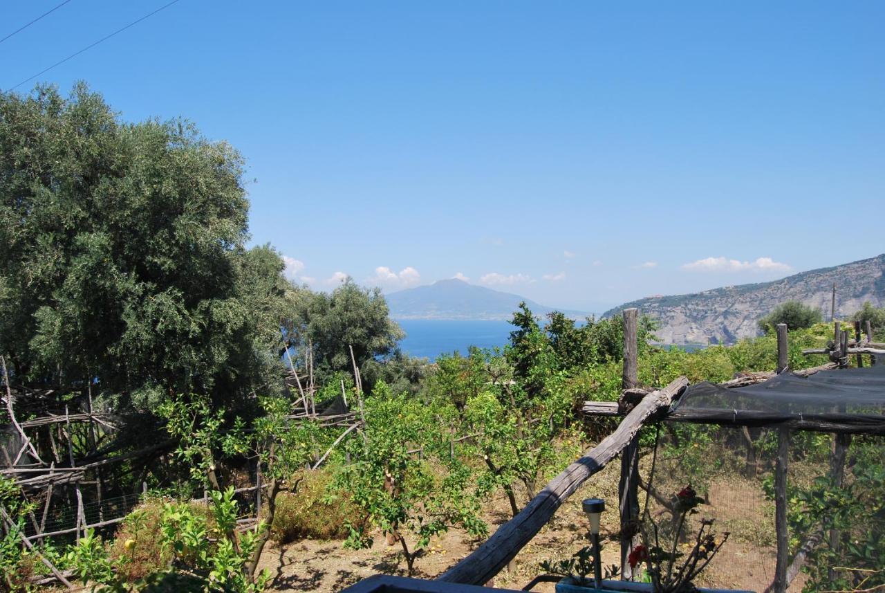 Sorrento Studios Lemons Hill Экстерьер фото